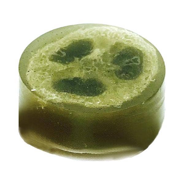 Polishing Suds: Sea Clay & Peppermint