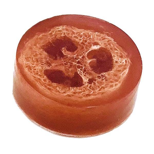 Polishing Suds: Apple & Sage